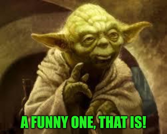 yoda | A FUNNY ONE, THAT IS! | image tagged in yoda | made w/ Imgflip meme maker
