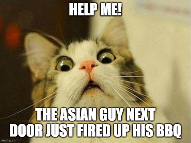 Scared Cat Meme | HELP ME! THE ASIAN GUY NEXT DOOR JUST FIRED UP HIS BBQ | image tagged in memes,scared cat,dark humor,dark,asian,cats | made w/ Imgflip meme maker