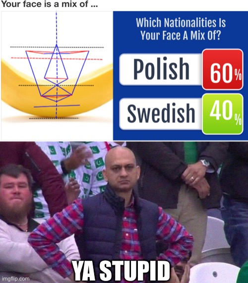 Dat’s a banana | YA STUPID | image tagged in angry pakistani fan,banana,swedish,polish,stupid,meme | made w/ Imgflip meme maker