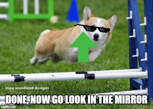 Upvote corgi | DONE, NOW GO LOOK IN THE MIRROR | image tagged in upvote corgi | made w/ Imgflip meme maker