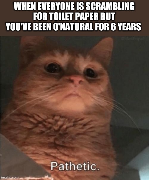 Pathetic Cat | WHEN EVERYONE IS SCRAMBLING FOR TOILET PAPER BUT YOU'VE BEEN O'NATURAL FOR 6 YEARS | image tagged in pathetic cat | made w/ Imgflip meme maker