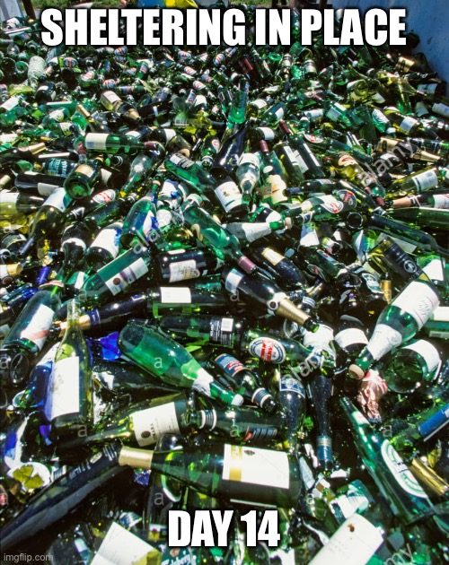 Empty Wine Bottles Imgflip Empty Wine Bottles Imgflip