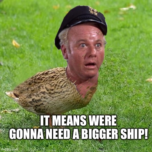 Skipper Duck | IT MEANS WERE GONNA NEED A BIGGER SHIP! | image tagged in skipper duck | made w/ Imgflip meme maker