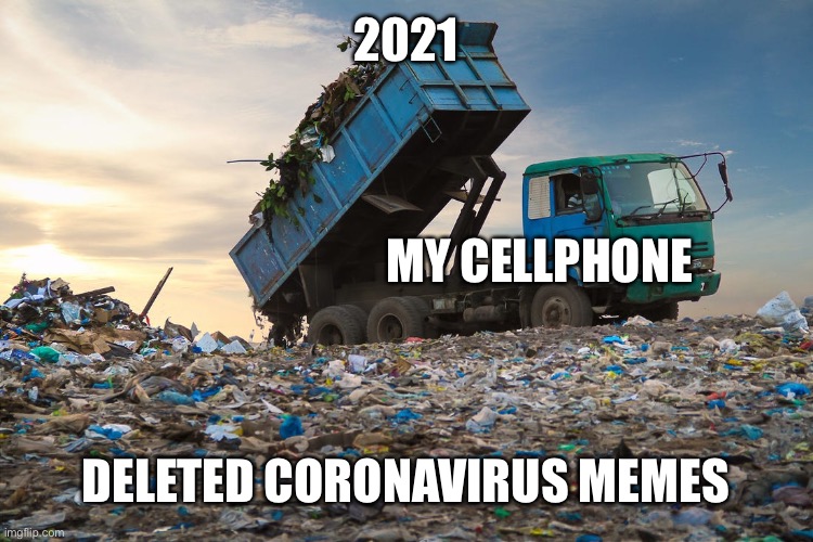 Can’t wait till the day I can delete all these memes | 2021; MY CELLPHONE; DELETED CORONAVIRUS MEMES | image tagged in coronavirus,2020,corona virus,virus | made w/ Imgflip meme maker