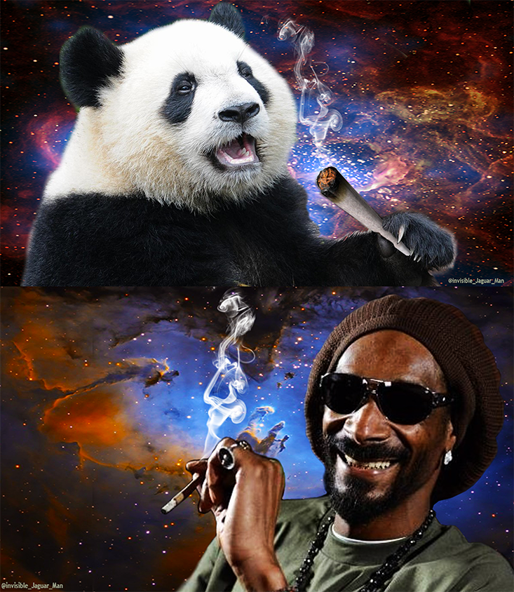 High Quality Snoop Dogg and the Panda Blank Meme Template