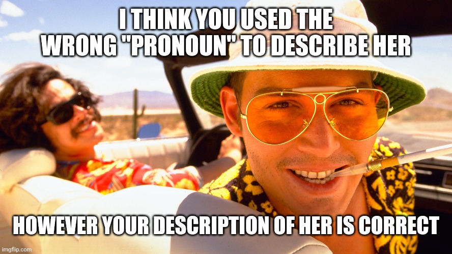 I THINK YOU USED THE WRONG "PRONOUN" TO DESCRIBE HER HOWEVER YOUR DESCRIPTION OF HER IS CORRECT | made w/ Imgflip meme maker