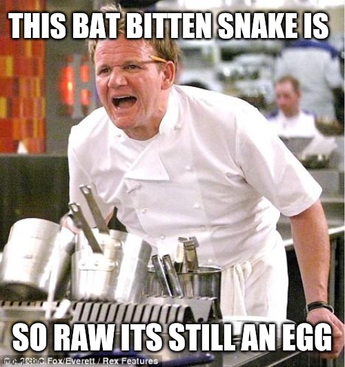 THIS BAT BITTEN SNAKE IS SO RAW ITS STILL AN EGG | image tagged in memes,chef gordon ramsay | made w/ Imgflip meme maker