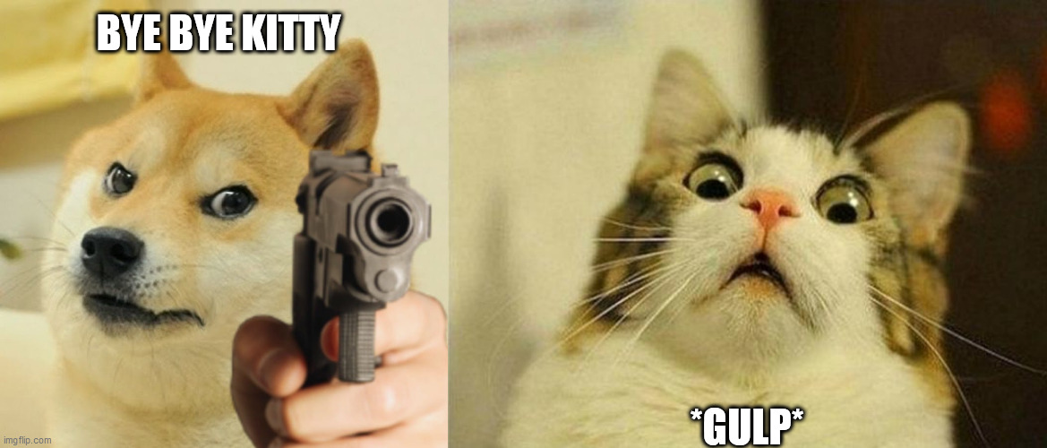 BYE BYE KITTY *GULP* | image tagged in memes,scared cat,doge with gun | made w/ Imgflip meme maker