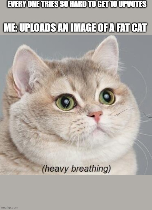 Heavy Breathing Cat | EVERY ONE TRIES SO HARD TO GET 10 UPVOTES; ME: UPLOADS AN IMAGE OF A FAT CAT | image tagged in memes,heavy breathing cat | made w/ Imgflip meme maker
