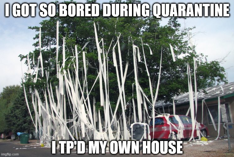 I got so bored during quarantine I TP'd my own house | I GOT SO BORED DURING QUARANTINE; I TP'D MY OWN HOUSE | image tagged in toilet paper,tp,hoarding,tp hoarding,quarantine,bored | made w/ Imgflip meme maker