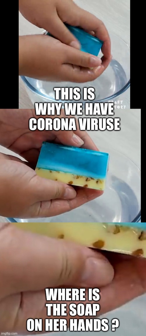 THIS IS WHY WE HAVE CORONA VIRUSE; WHERE IS THE SOAP ON HER HANDS ? | image tagged in coronavirus | made w/ Imgflip meme maker