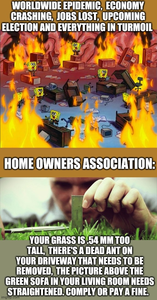 Have they nothing better to do? And really asking for more money? | WORLDWIDE EPIDEMIC,  ECONOMY CRASHING,  JOBS LOST,  UPCOMING ELECTION AND EVERYTHING IN TURMOIL; HOME OWNERS ASSOCIATION:; YOUR GRASS IS .54 MM TOO TALL,  THERE'S A DEAD ANT ON YOUR DRIVEWAY THAT NEEDS TO BE REMOVED,  THE PICTURE ABOVE THE GREEN SOFA IN YOUR LIVING ROOM NEEDS STRAIGHTENED. COMPLY OR PAY A FINE. | image tagged in spongebob fire,useless,hoa | made w/ Imgflip meme maker