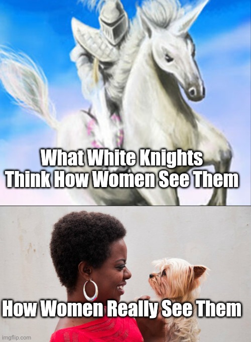 How Women Really See White Knights | What White Knights Think How Women See Them; How Women Really See Them | image tagged in white knight,women,dog | made w/ Imgflip meme maker