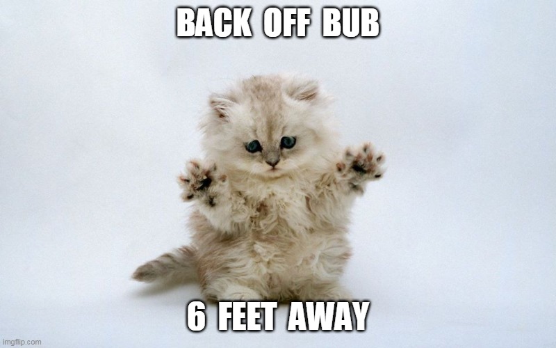 Whoa kitten | BACK  OFF  BUB; 6  FEET  AWAY | image tagged in whoa kitten | made w/ Imgflip meme maker