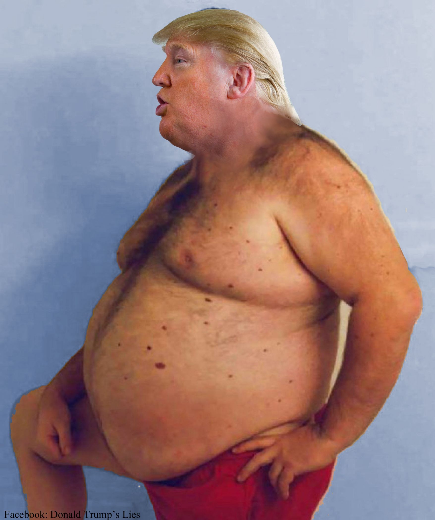 Trump Big Belly Blank Meme Template