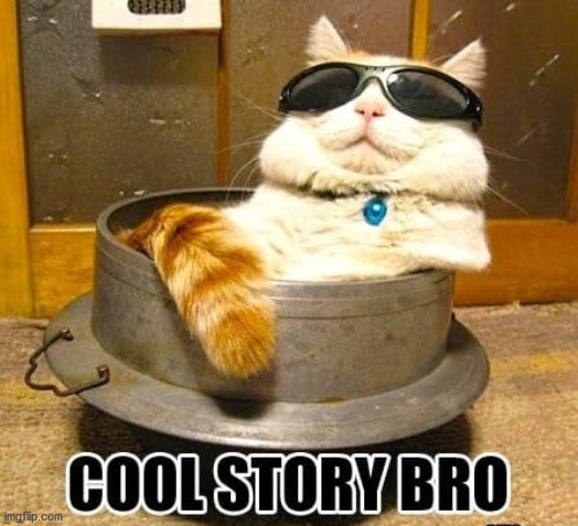 cool story | image tagged in cool story | made w/ Imgflip meme maker