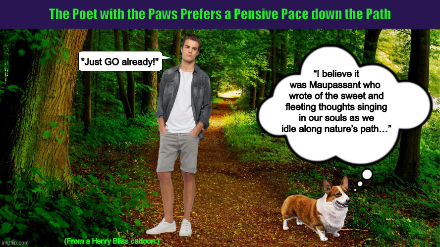 The Poet with the Paws Prefers a Slow Pace down the Path | (From a Henry Bliss cartoon.) | image tagged in poet,poetry,dog,corgi,funny,memes | made w/ Imgflip meme maker