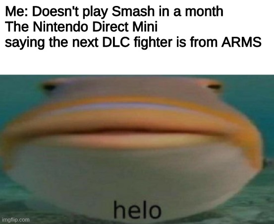 whos it gonna be | Me: Doesn't play Smash in a month
The Nintendo Direct Mini saying the next DLC fighter is from ARMS | image tagged in helo,memes | made w/ Imgflip meme maker