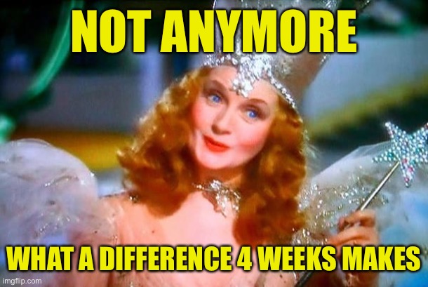 Glinda the Good Witch | NOT ANYMORE WHAT A DIFFERENCE 4 WEEKS MAKES | image tagged in glinda the good witch | made w/ Imgflip meme maker
