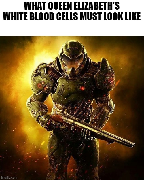 Doom SLAYER | WHAT QUEEN ELIZABETH'S WHITE BLOOD CELLS MUST LOOK LIKE | image tagged in doom slayer | made w/ Imgflip meme maker