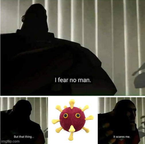 Who's afraid of a cute 1,000,000:1-scale stuffed virus? | image tagged in i fear no man,covid-19,science,plush,toy,real shit | made w/ Imgflip meme maker