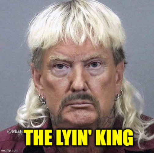 THE LYIN KING | image tagged in donald trump | made w/ Imgflip meme maker