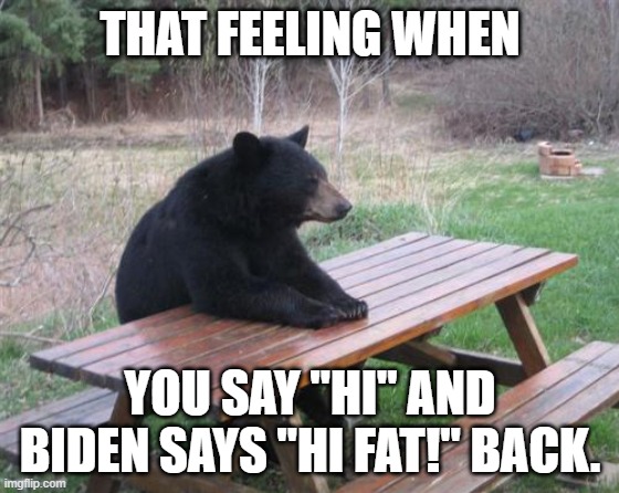 Bad Luck Bear | THAT FEELING WHEN; YOU SAY "HI" AND BIDEN SAYS "HI FAT!" BACK. | image tagged in memes,bad luck bear | made w/ Imgflip meme maker