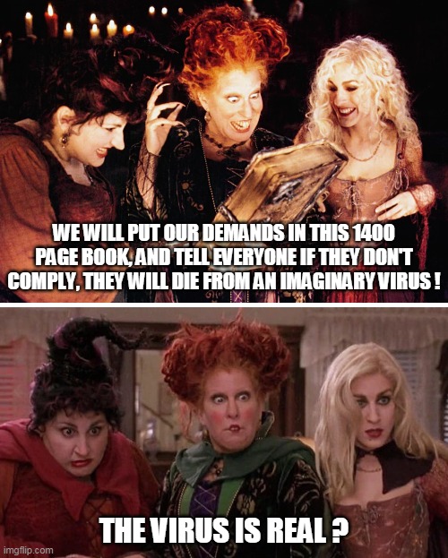 Hocus Pocus | WE WILL PUT OUR DEMANDS IN THIS 1400 PAGE BOOK, AND TELL EVERYONE IF THEY DON'T COMPLY, THEY WILL DIE FROM AN IMAGINARY VIRUS ! THE VIRUS IS REAL ? | image tagged in bette midler,spell book,backfire,it's real | made w/ Imgflip meme maker