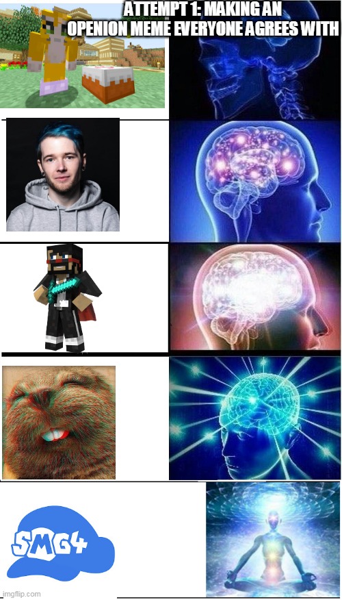 ATTEMPT 1: MAKING AN OPENION MEME EVERYONE AGREES WITH | image tagged in memes,expanding brain | made w/ Imgflip meme maker