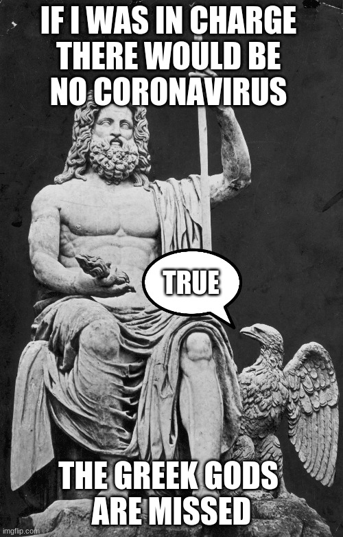 coronavirus | IF I WAS IN CHARGE 
THERE WOULD BE 
NO CORONAVIRUS; TRUE; THE GREEK GODS 
ARE MISSED | image tagged in greek gods | made w/ Imgflip meme maker