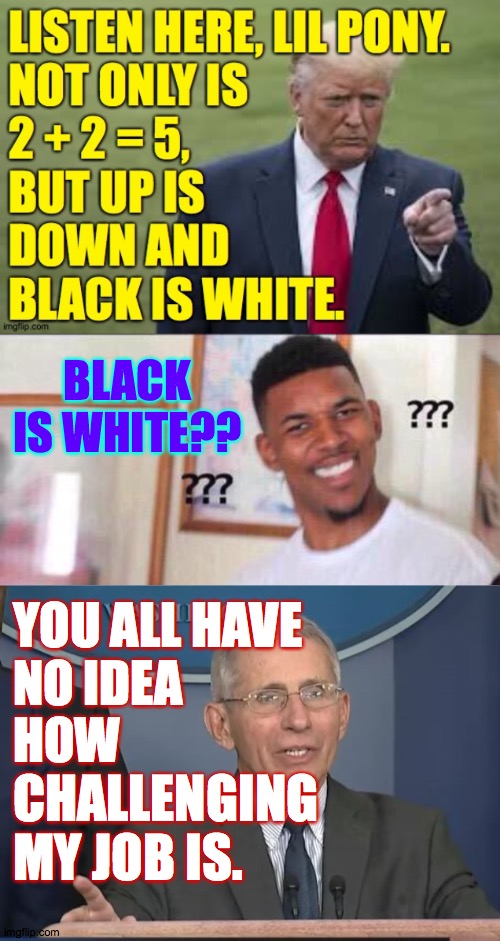 BLACK IS WHITE?? YOU ALL HAVE
NO IDEA
HOW CHALLENGING
MY JOB IS. | image tagged in black guy confused,dr fauci | made w/ Imgflip meme maker