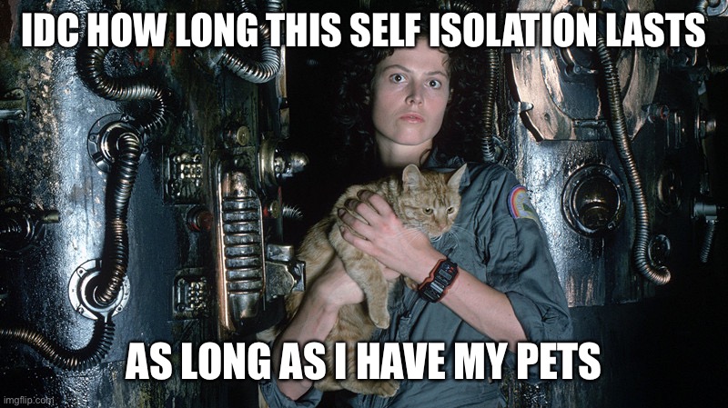 Self Isolation with pets | IDC HOW LONG THIS SELF ISOLATION LASTS; AS LONG AS I HAVE MY PETS | image tagged in horror movie,funny,funny memes,funny meme,pets,cats | made w/ Imgflip meme maker