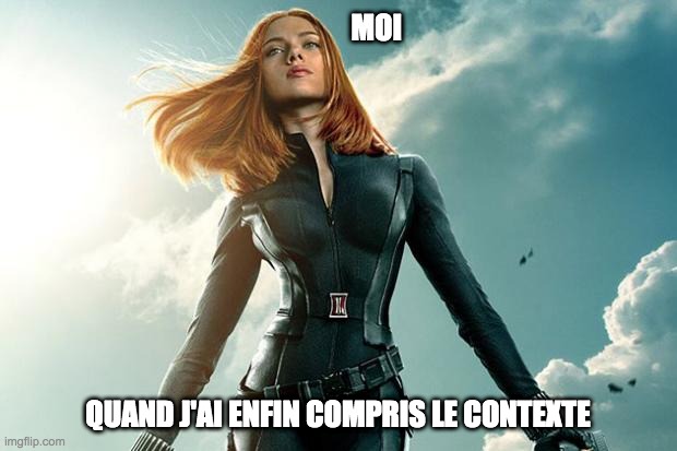 Black Widow | MOI; QUAND J'AI ENFIN COMPRIS LE CONTEXTE | image tagged in black widow | made w/ Imgflip meme maker
