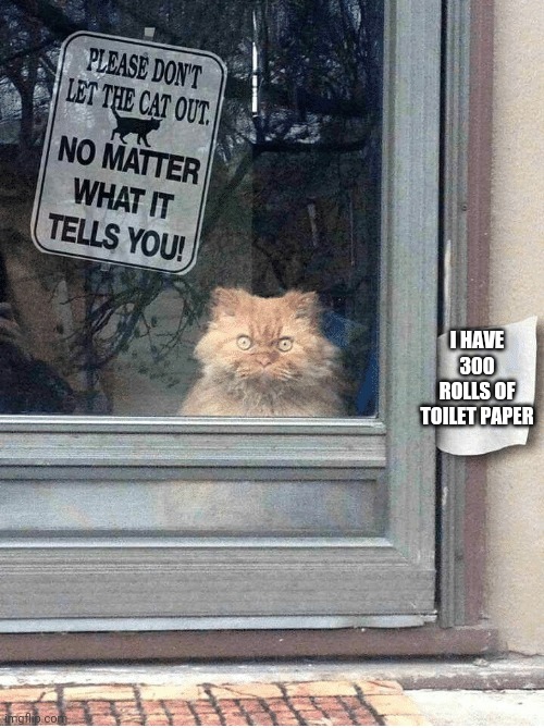 I'LL GIVE YOU HALF | I HAVE 300 ROLLS OF TOILET PAPER | image tagged in don't let the cat out,cats,funny cats,toilet paper | made w/ Imgflip meme maker