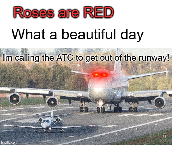 Roses are RED; What a beautiful day; Im calling the ATC to get out of the runway! | image tagged in aviation,roses are red | made w/ Imgflip meme maker