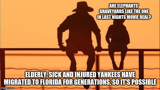 Cowboy wisdom on northern migration patterns | ARE ELEPHANTS' GRAVEYARDS LIKE THE ONE IN LAST NIGHTS MOVIE REAL? ELDERLY, SICK AND INJURED YANKEES HAVE MIGRATED TO FLORIDA FOR GENERATIONS, SO IT'S POSSIBLE | image tagged in cowboy father and son,migration,yankees,cowboy wisdom,no highway is safe,elephants graveyard | made w/ Imgflip meme maker