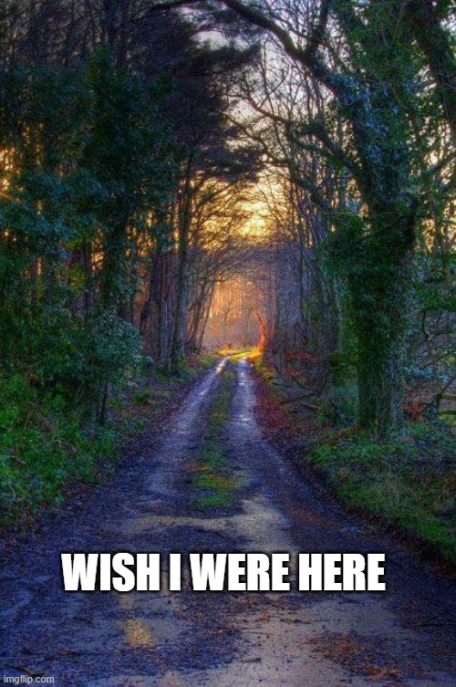 WISH I WERE HERE | image tagged in i wish,scenic,sunset | made w/ Imgflip meme maker