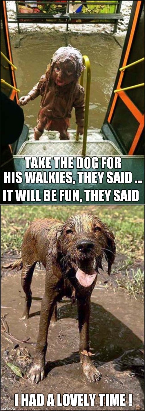 Any Chance Of A Ride Home ? | TAKE THE DOG FOR HIS WALKIES, THEY SAID ... IT WILL BE FUN, THEY SAID; I HAD A LOVELY TIME ! | image tagged in fun,dogs,mud | made w/ Imgflip meme maker