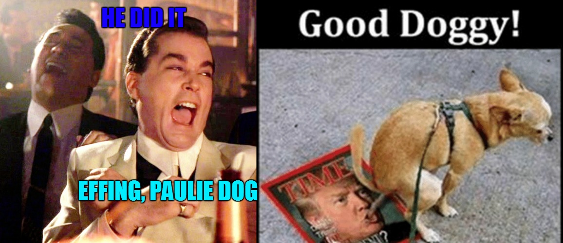 HE DID IT; EFFING, PAULIE DOG | made w/ Imgflip meme maker