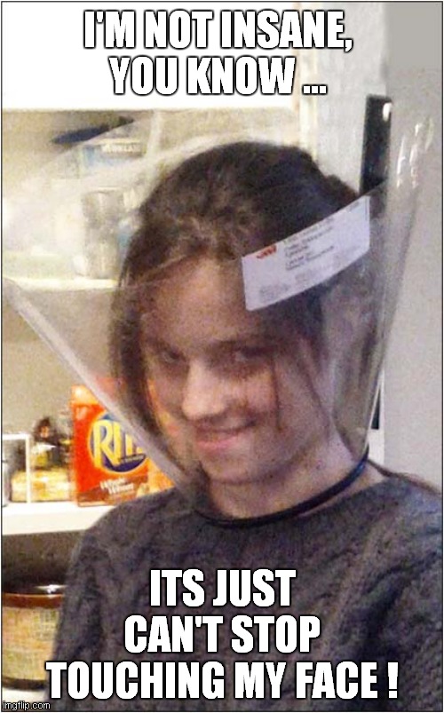 Drastic Measures Were Necessary | I'M NOT INSANE, YOU KNOW ... ITS JUST CAN'T STOP TOUCHING MY FACE ! | image tagged in fun,corona virus,cone of shame | made w/ Imgflip meme maker