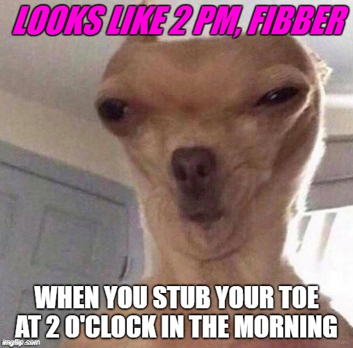 Dog alien | LOOKS LIKE 2 PM, FIBBER | made w/ Imgflip meme maker
