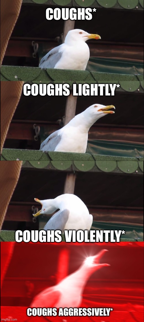Inhaling Seagull Meme | COUGHS*; COUGHS LIGHTLY*; COUGHS VIOLENTLY*; COUGHS AGGRESSIVELY* | image tagged in memes,inhaling seagull | made w/ Imgflip meme maker