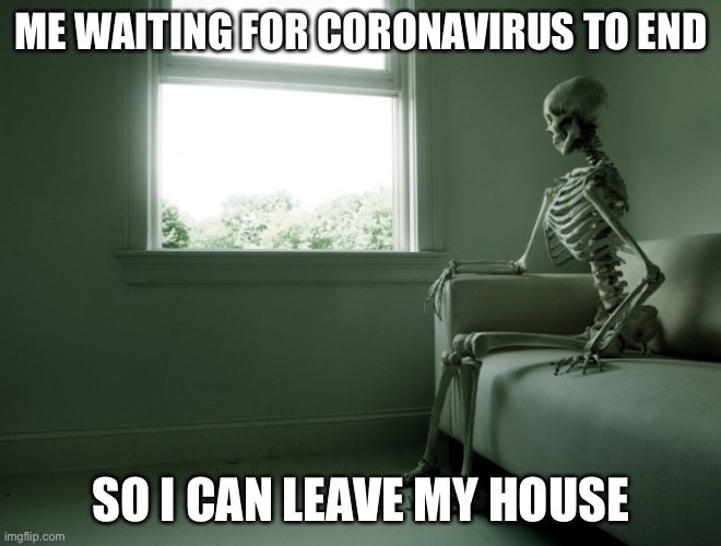 Me waiting | ME WAITING FOR CORONAVIRUS TO END; SO I CAN LEAVE MY HOUSE | image tagged in me waiting | made w/ Imgflip meme maker