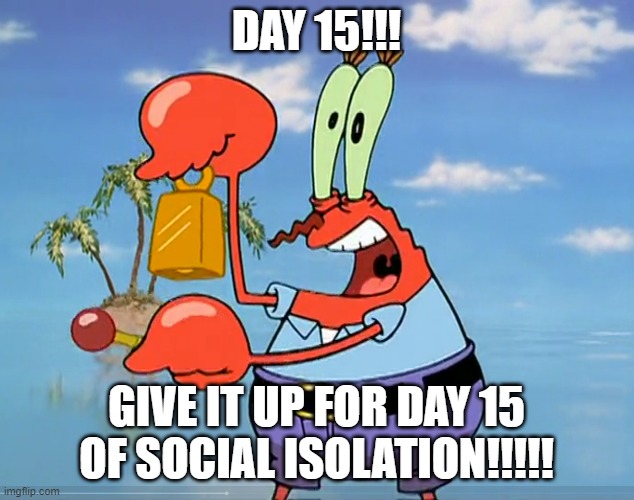 DAY 15!!! GIVE IT UP FOR DAY 15 OF SOCIAL ISOLATION!!!!! | image tagged in mr krabs,day 15,coronavirus,social distancing | made w/ Imgflip meme maker