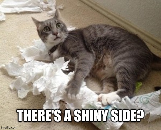 cat toilet paper | THERE'S A SHINY SIDE? | image tagged in cat toilet paper | made w/ Imgflip meme maker