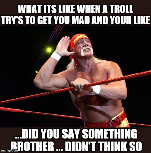 hatters going to hate  | WHAT ITS LIKE WHEN A TROLL TRY'S TO GET YOU MAD AND YOUR LIKE; ...DID YOU SAY SOMETHING BROTHER ... DIDN'T THINK SO | image tagged in halk hogan,trolling,hatters,front page,funny memes,frontpage | made w/ Imgflip meme maker