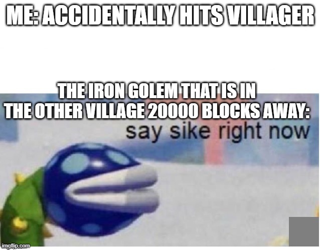 say sike right now | ME: ACCIDENTALLY HITS VILLAGER; THE IRON GOLEM THAT IS IN THE OTHER VILLAGE 20000 BLOCKS AWAY: | image tagged in say sike right now | made w/ Imgflip meme maker