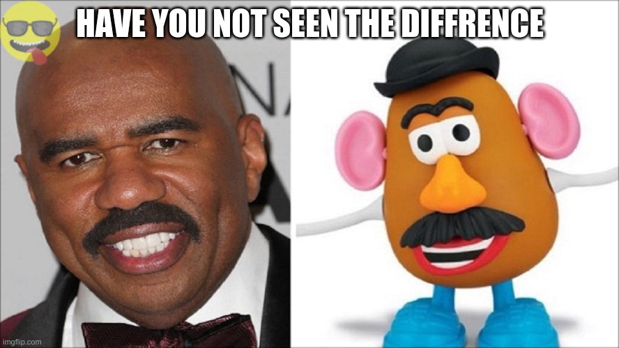 mr potoe is steave harvey | HAVE YOU NOT SEEN THE DIFFRENCE | image tagged in potato | made w/ Imgflip meme maker