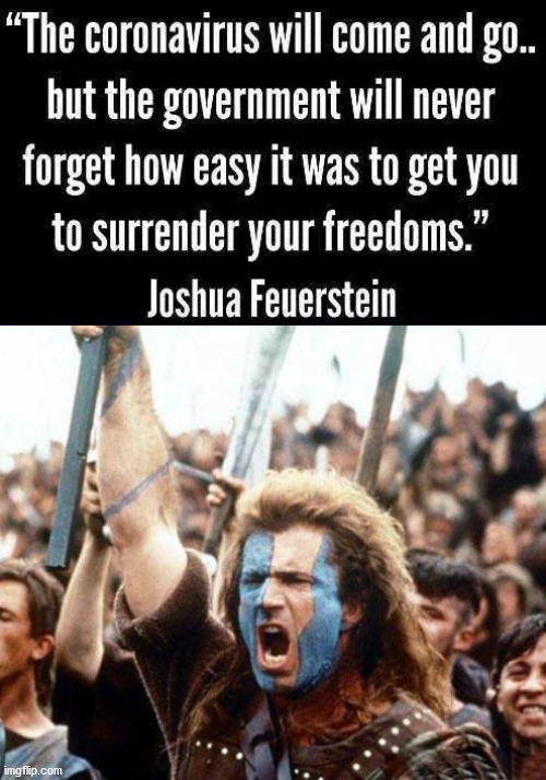 Giving up your individual freedom for a little security. | image tagged in braveheart freedom,big government,political meme | made w/ Imgflip meme maker