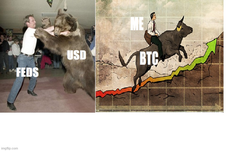 usd is a ponzi | image tagged in bitcoin,usdponzi | made w/ Imgflip meme maker